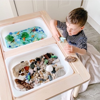 Bàn ghế gỗ cho bé - 100% gỗ thông và sồi cao cấp nhập khẩu New Zealand và Bắc Mỹ