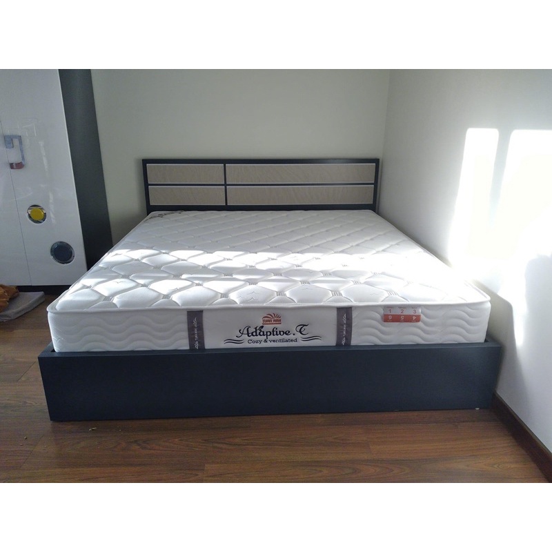 Đệm lò xo túi Adaptive Tuấn Anh mẫu màu trắng, dày 25cm nâng đỡ tối ưu - Đệm Chất lượng