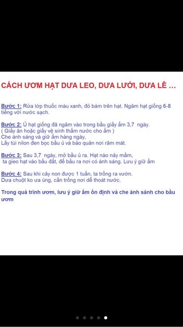 Hạt giống dưa chuột baby- gói 10 hạt