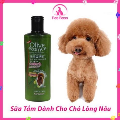 Sữa Tắm Cho Chó Poodle Lông Đỏ Và Lông Sẫm Màu OLIVER ESSENCE 450ML - STCM01