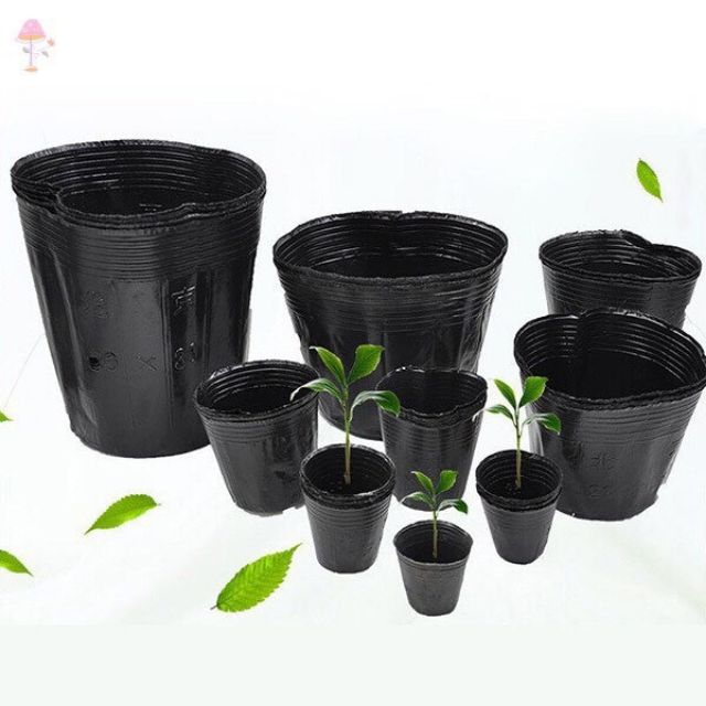 cỡ 14 x 16 - 5 chậu nhựa ươm hạt giống rau hoa quả chất liệu nhựa tốt