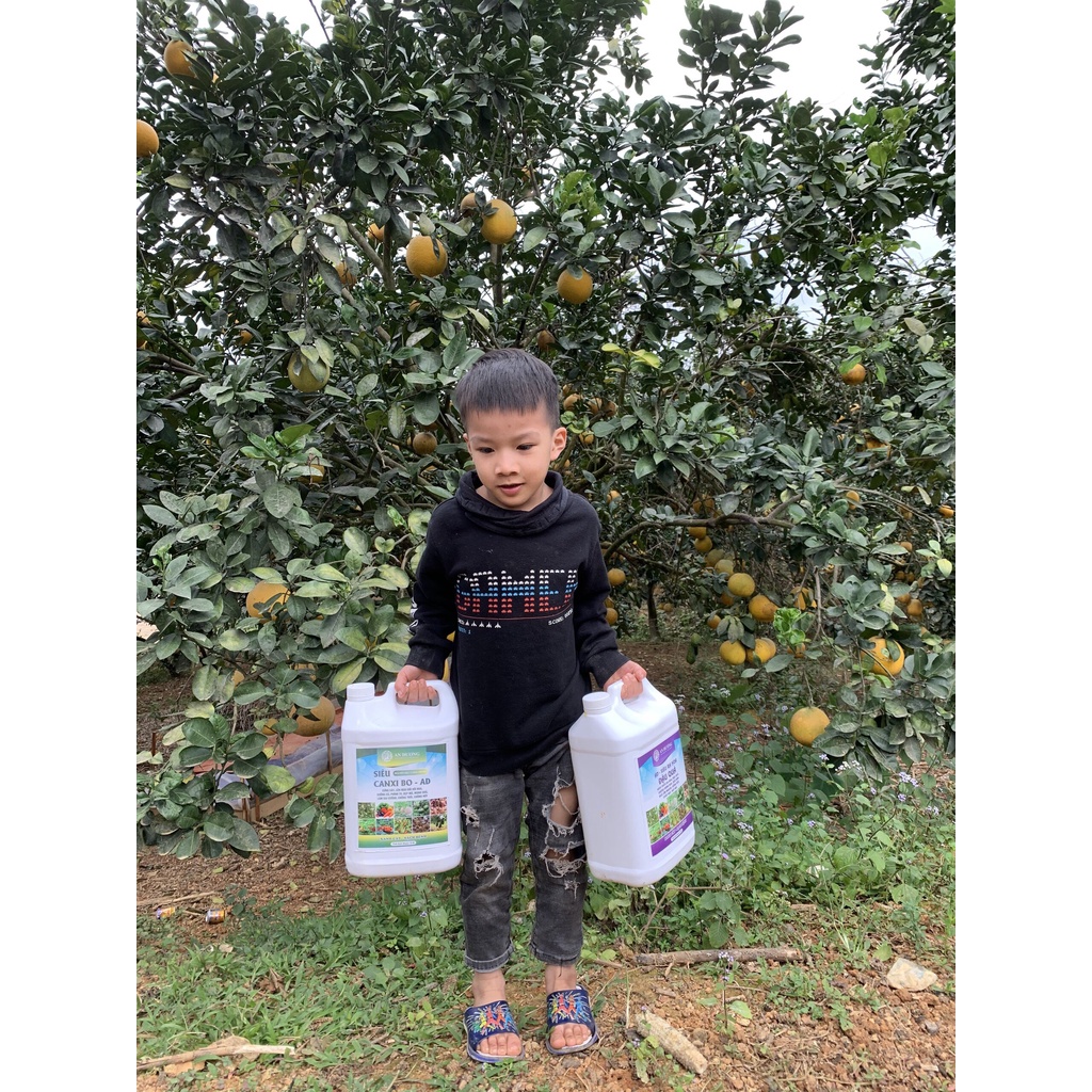 AD - Siêu ra hoa đậu quả 480ml