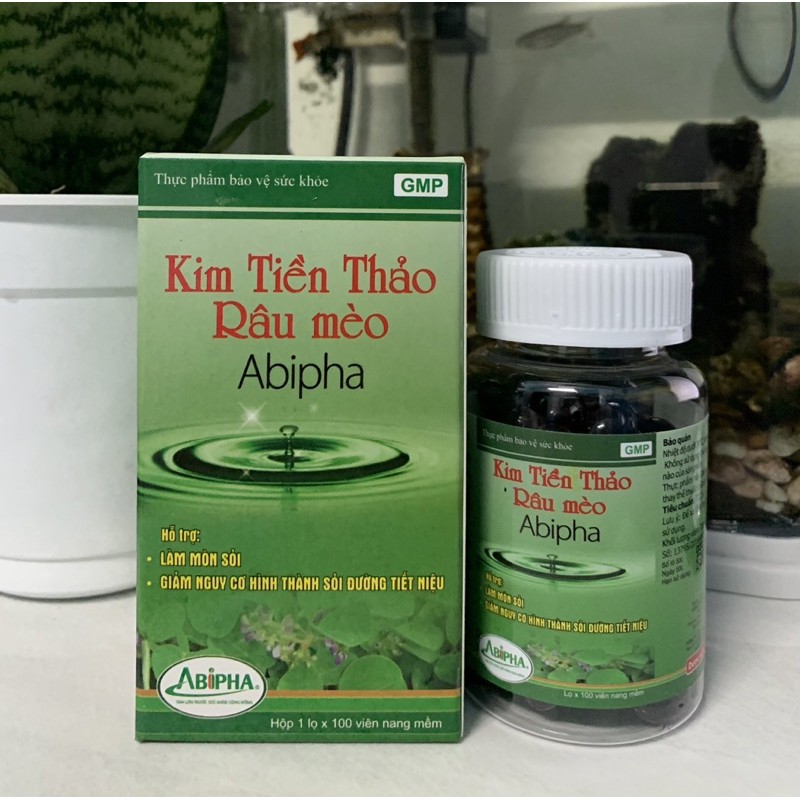 Kim tiền thảo râu mèo Abipha 100 viên