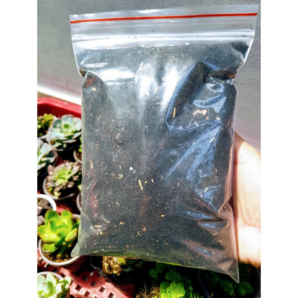 Đất Trồng Dâu Tây Pha Sẵn 500gram