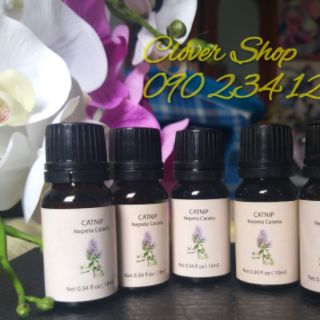 Tinh dầu cỏ mèo catnip