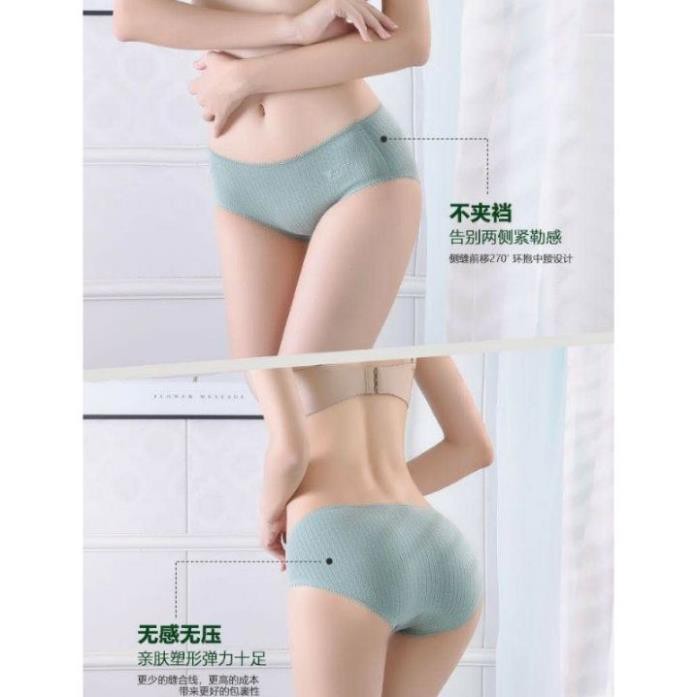 Quần Lót Cotton Viền Ren Kháng Khuẩn Chống Viêm Nhiễm
