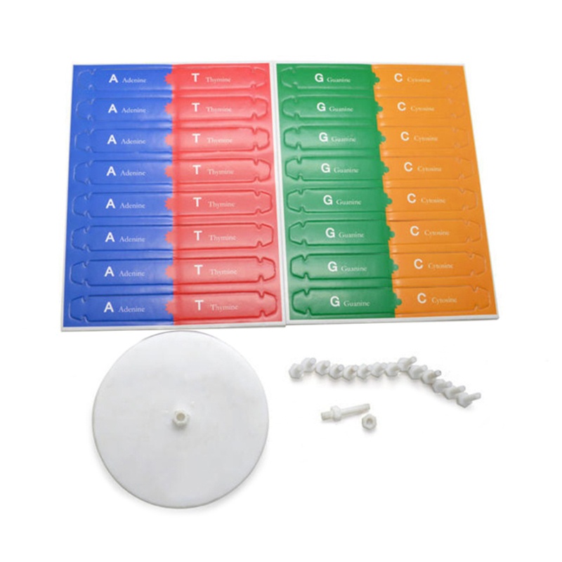 Bộ Đồ Chơi Lắp Ráp Mô Hình Thí Nghiệm Khoa Học dna 13in