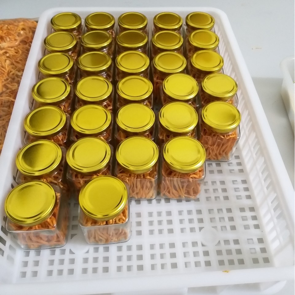 [Mã 267FMCGSALE giảm 8% đơn 500K] [10g] Nấm Đông trùng hạ thảo "Cordyceps" Sấy thăng hoa (Theo Đề án cấp nhà nước) | BigBuy360 - bigbuy360.vn