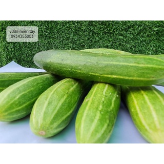 Dưa leo ở quê - 500g,1kg