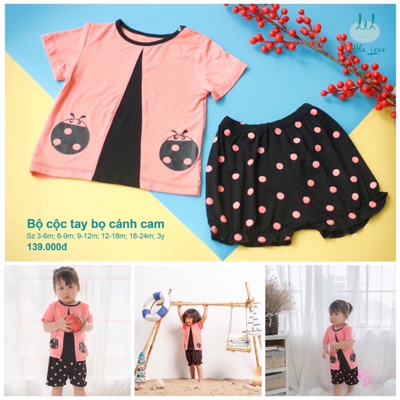 LIL - BỘ CÀI VAI VẢI SMOOTHY