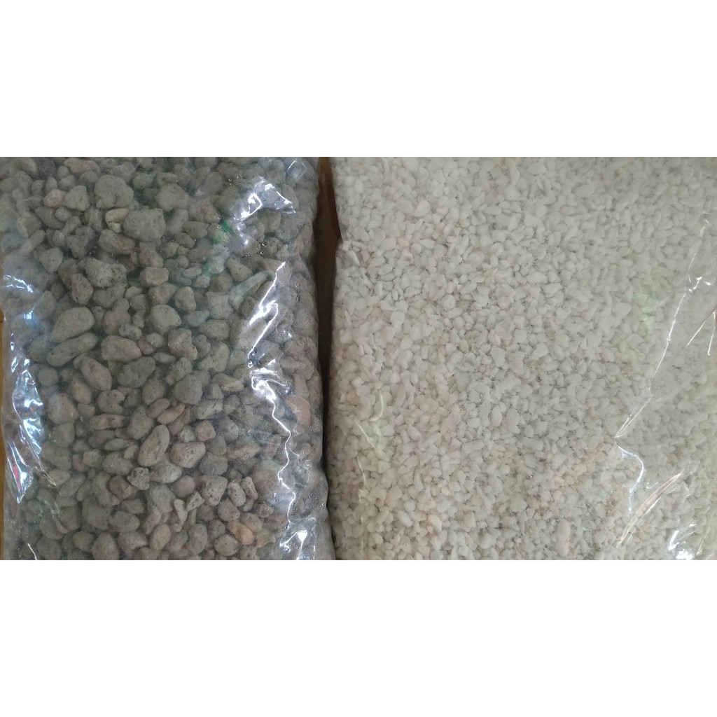 Đá bọt pumice và đá trân châu perlite dùng trộn đất trồng cây