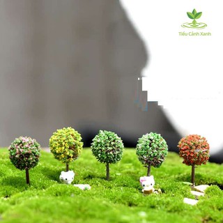 Cây mô phỏng tiểu cảnh - phụ kiện tiểu cảnh