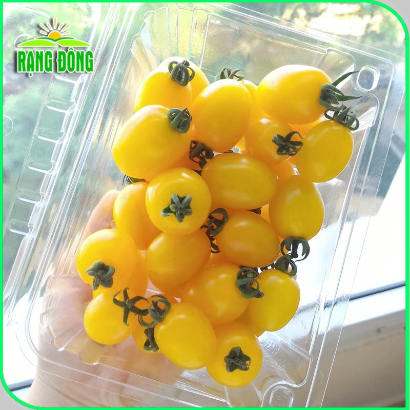 Hạt giống Cà Chua Cherry Vàng lai F1, trái sai, sinh trưởng vô hạn (gói 0,1 gr) - Hạt giống Rạng Đông
