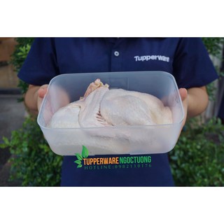 hộp đông 1.5l tupperware