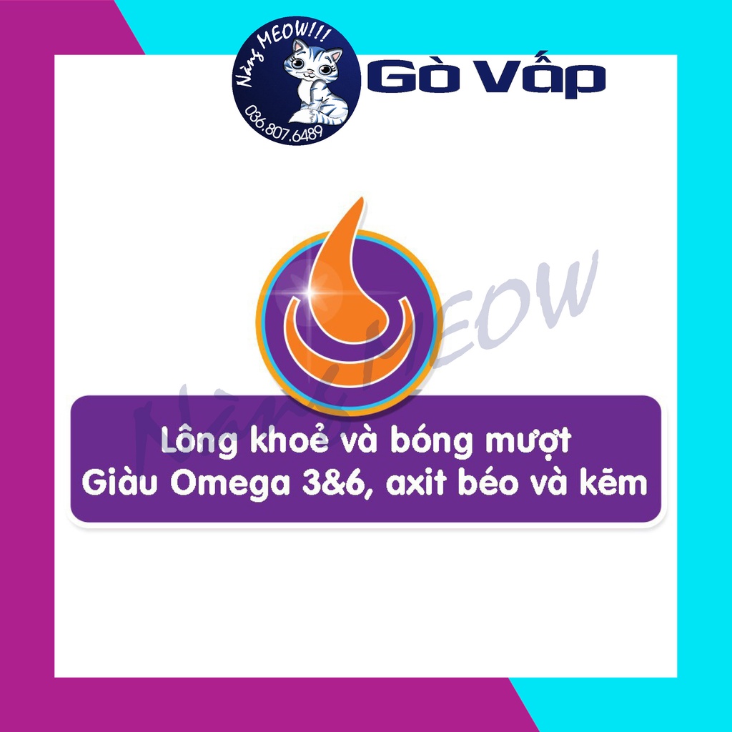 Catsrang kitten Hạt thức ăn dành cho mèo con - NÀNG MEOW