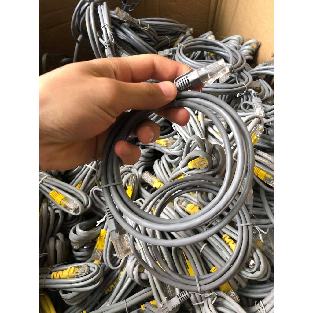 Dây Mạng 1M | BigBuy360 - bigbuy360.vn