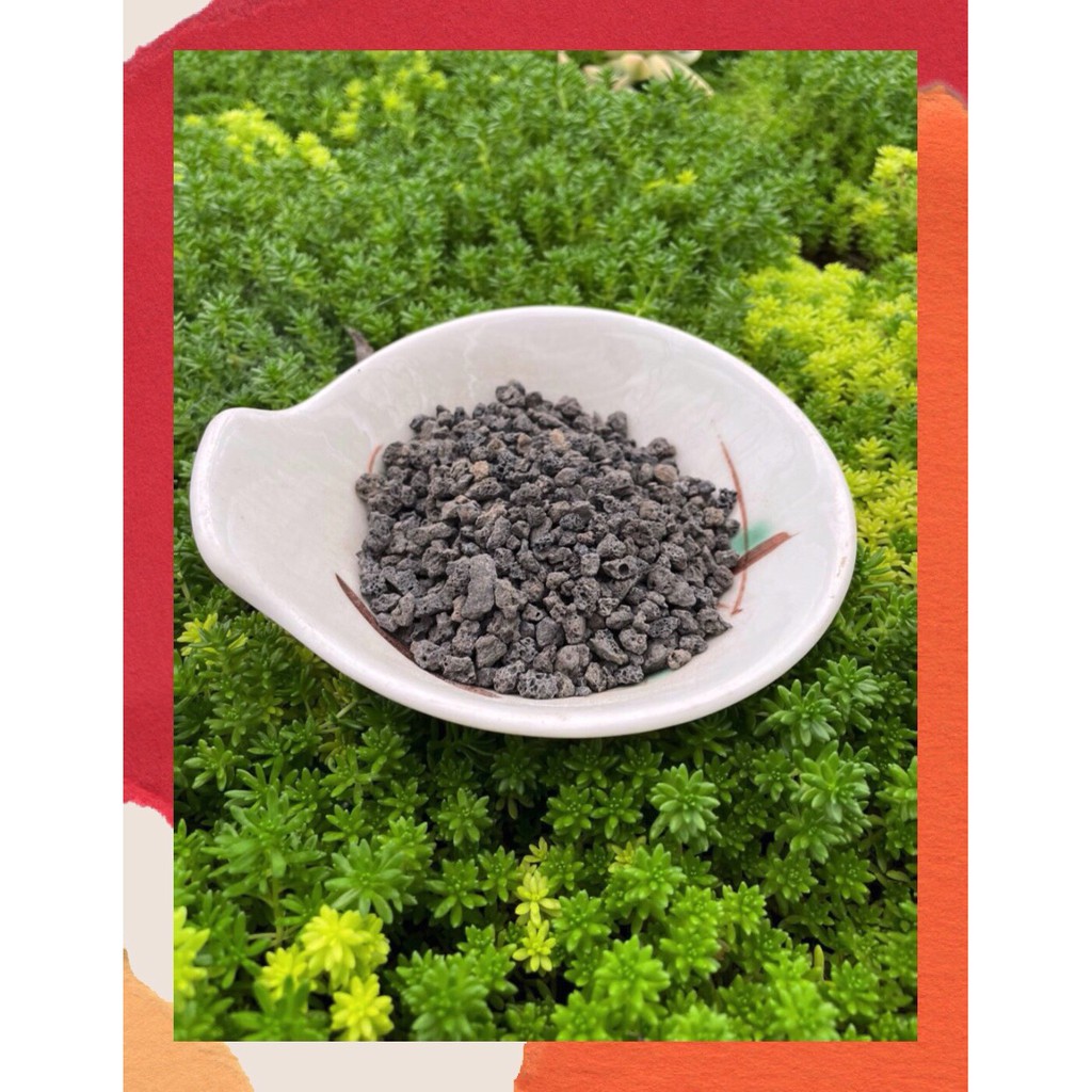 ĐÁ NHAM THẠCH ĐEN (1kg)  SIÊU PHẨM CHO SEN ĐÁ, XƯƠNG RỒNG