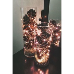 Trái Thông Tự nhiên