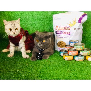 Hạt Aatas Cat Mix Cá Cơm Khô