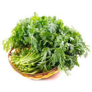 HẠT GIỐNG TẦN Ô(CHẤT LƯỢNG-UY TÍN)