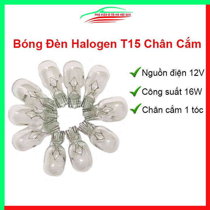 Bóng Đèn Halogen T15 12V 16W Chân Cắm