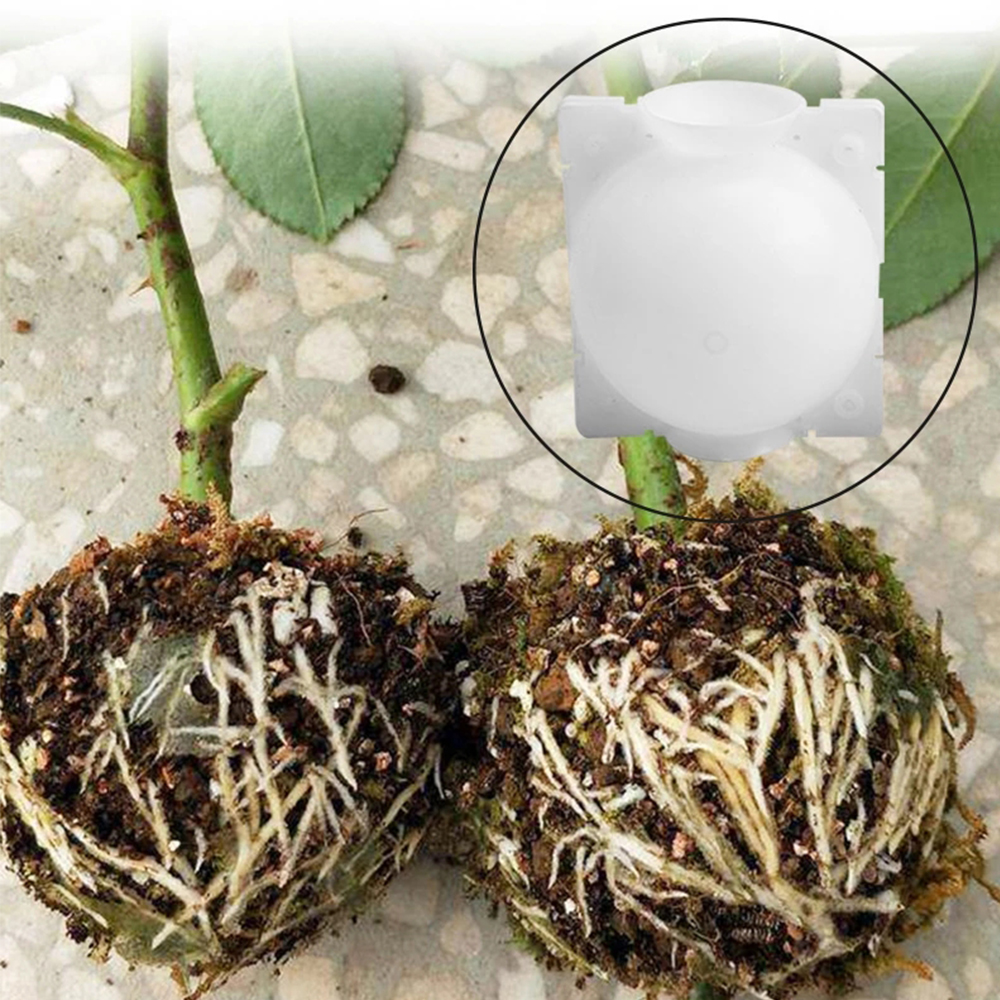 Set 1 / 3 / 5 Quả Bóng Hỗ Trợ Trồng Cây Tiện Dụng