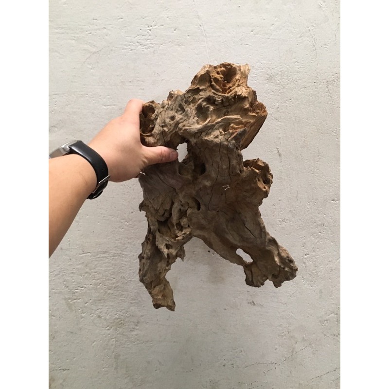 Lũa san đá, bìn lin làm thuỷ sinh, ghép lan, bán cạn