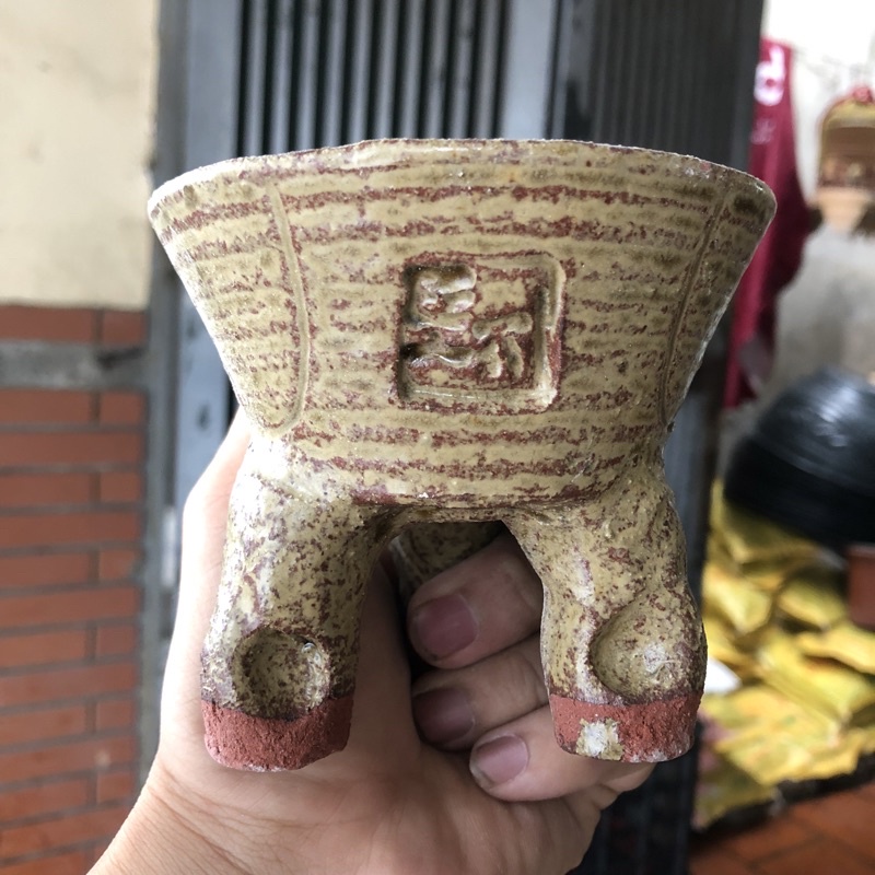 Chậu xuất Hàn trồng sen đá