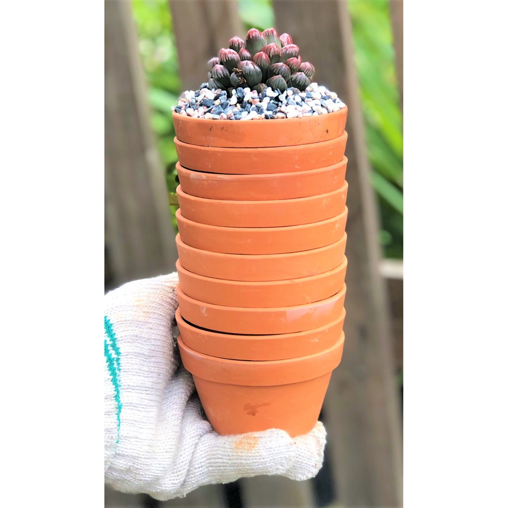 Bộ 10 chậu đất nung trồng xương rồng sen đá Rộng 9 cm x Cao 5,5 cm