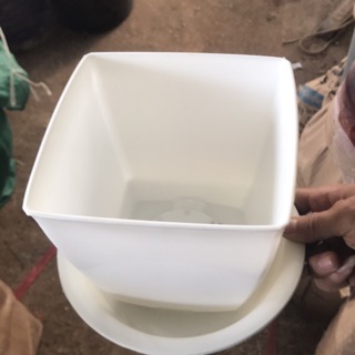 Chậu nhựa vuông v12