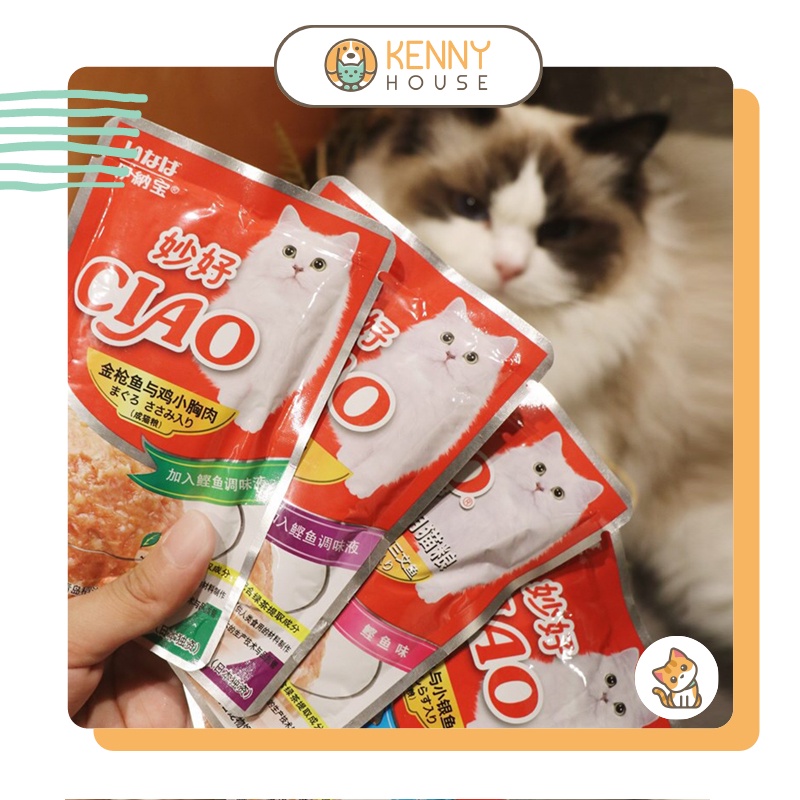 [Ship Hỏa Tốc] Pate mèo Ciao Churu giá rẻ nhiều hương vị cho mèo trên 3 tháng tuổi gói 60g