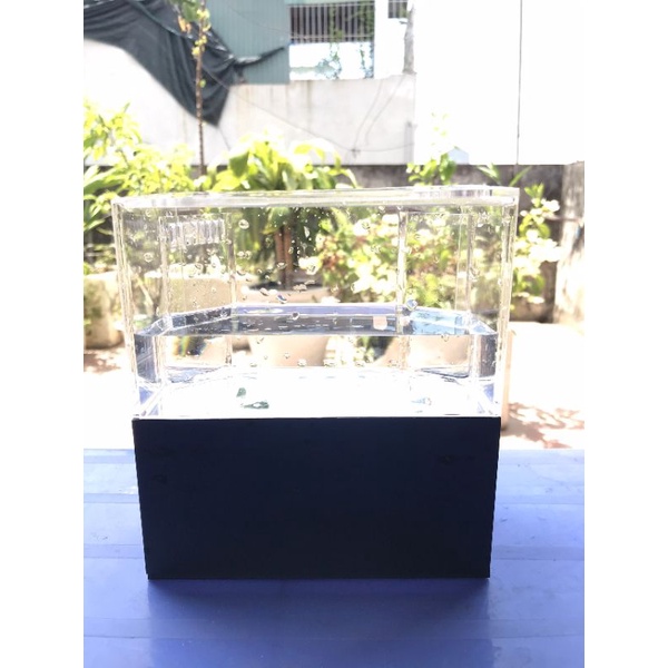 Bể cá acrylic mini thủy sinh để bàn làm việc