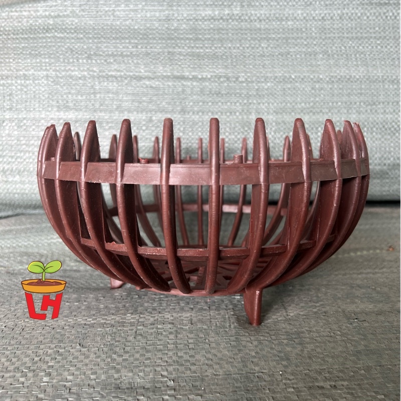 Chậu nhựa trồng lan, Chậu lan bí giả gỗ
