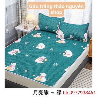 Chiếu điều hòa cao su non làm mát dễ ngủ tặng kèm 2 vỏ gối trải giường siêu đẹp