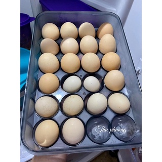 khay trứng 24 quả