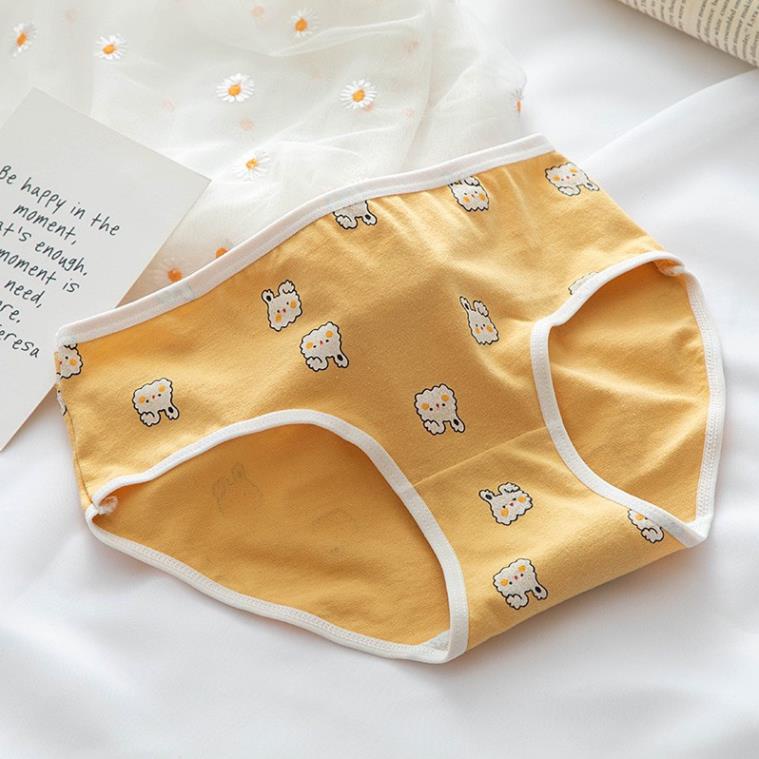 [Giá sỉ] Quần Lót Nữ Cotton Co Gĩan In Hoạ Tiết Thỏ Vàng Cute 898