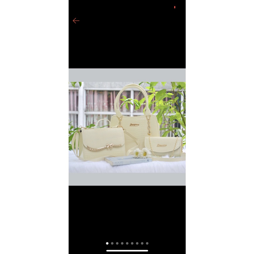 Túi xách sang trọng, túi xách nữ