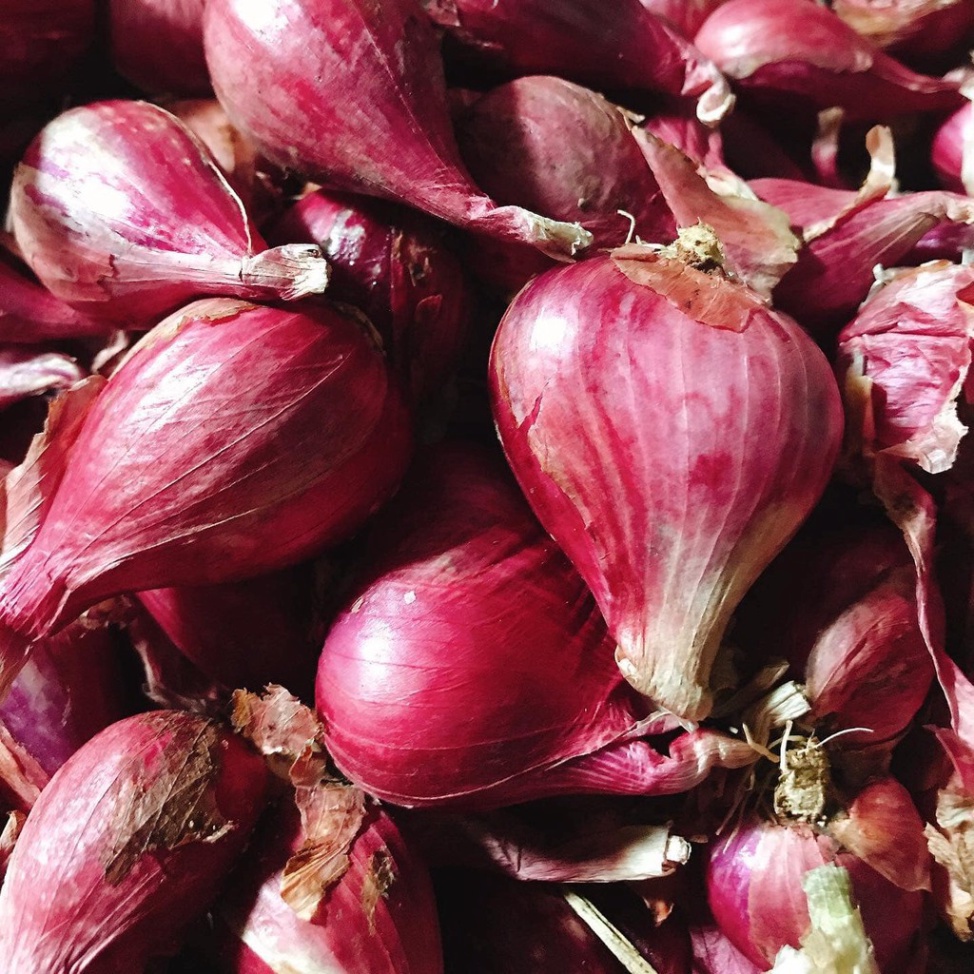 Hành Tím Lý Sơn Quảng Ngãi 0.5KG