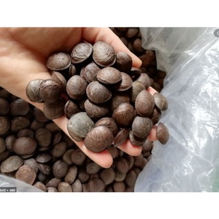 Hạt sachi rang chín ăn liền 1kg