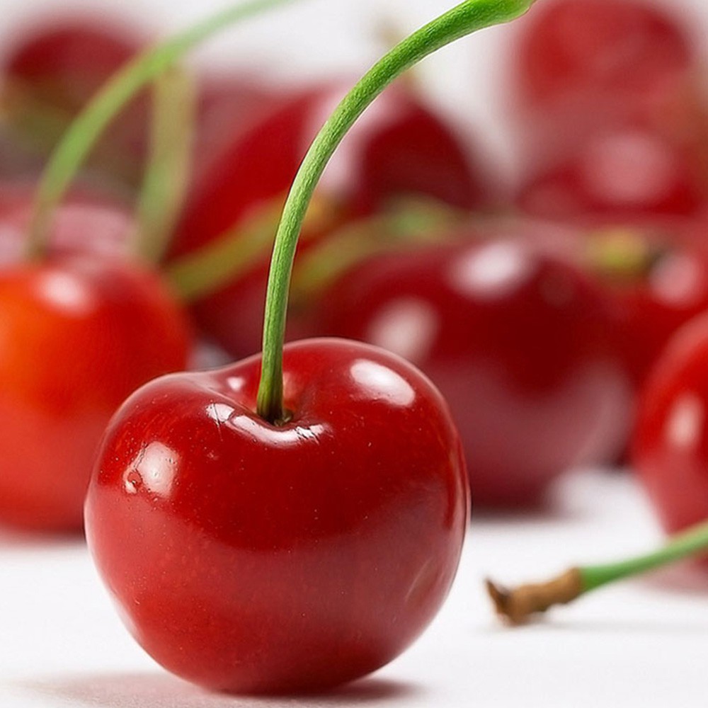 Hạt giống quả cherry Sao thần nông túi 10 hạt