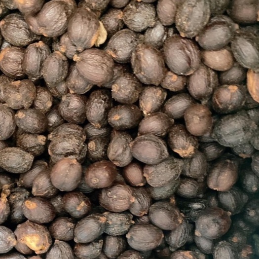 [MỚI] Cà phê Robusta Natural [500g/ 1 túi] - 100% Cà phê mộc rang xay nguyên chất - TBCAFE | BigBuy360 - bigbuy360.vn