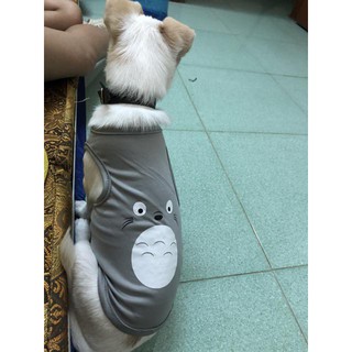 Áo totoro cho thú cưng