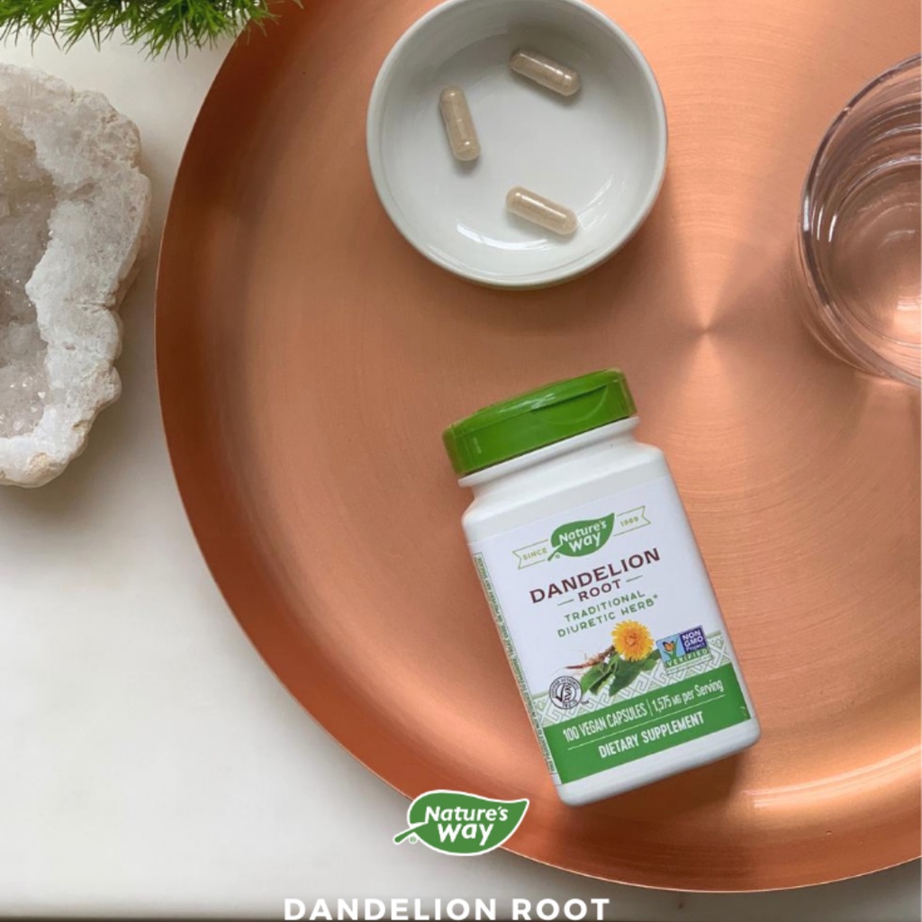 Viên uống rễ bồ công anh Nature’s Way Dandelion Root 100 viên.