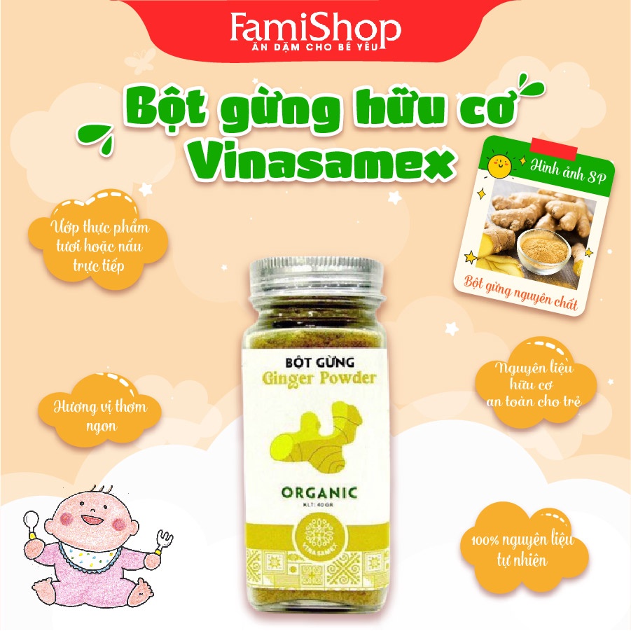 FamiShop Bột gừng nguyên liệu hữu cơ 100% Vinasamex 40g