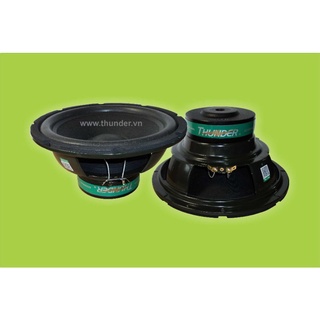 01 cặp - loa super bass 25 cm