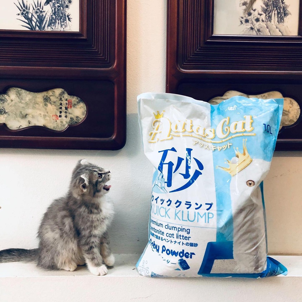 Cát Vệ Sinh Cho Mèo AATAS Singapore - Gói 10L Đủ Mùi