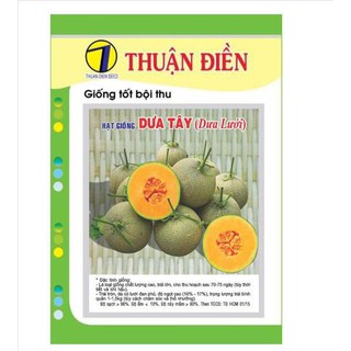 HẠT GIỐNG DƯA TÂY ( DƯA LƯỚI )