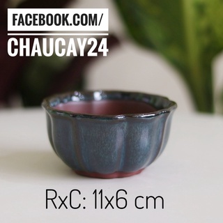 Chậu Sứ Hình Tô trồng Cây Cảnh Để Bàn, Cây nội thất, Cây Bonsai, sen đá