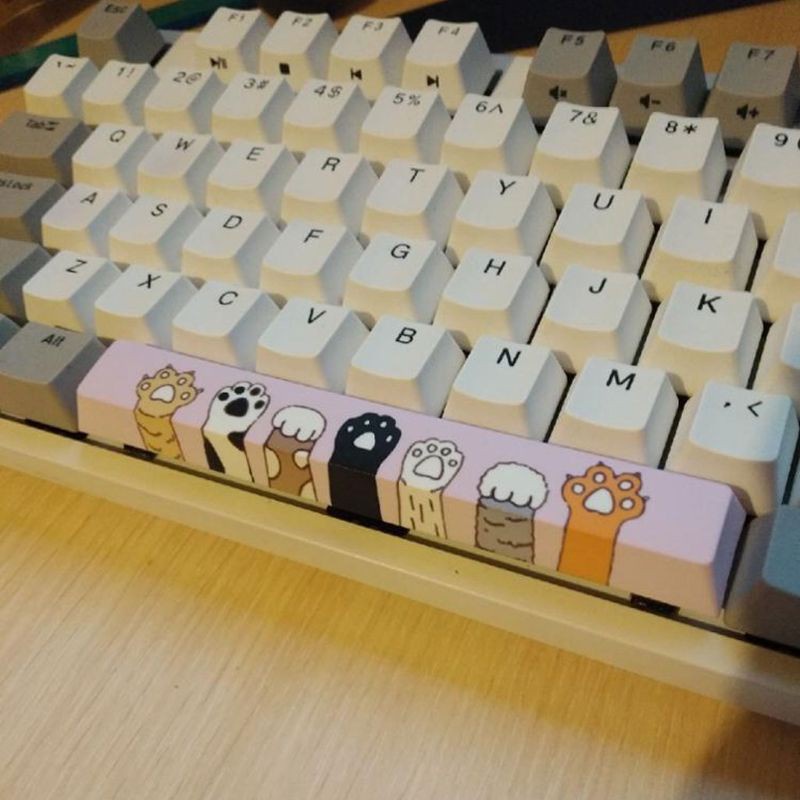 Nút Spacebar Pbt Năm Mặt Nhuộm Màu 6.25u Cho Bàn Phím Cơ Diy