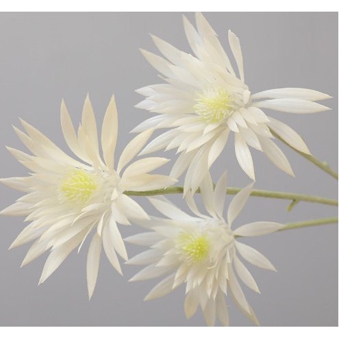 Hoa lụa/Hoa giả - Cành cúc, bông hoa cúc pha lê nhựa decor trang trí nhà, cửa hàng sự kiện phụ kiện cắm hoa, chụp ảnh...